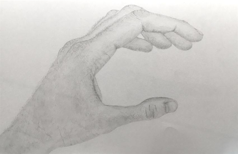 Someone draw their hand don’t care if it sucks send ASAP !!-example-1