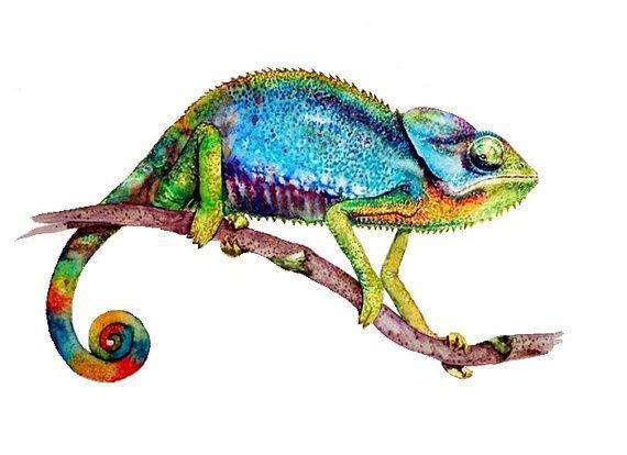 Draw a chameleon with watercolors ​-example-1