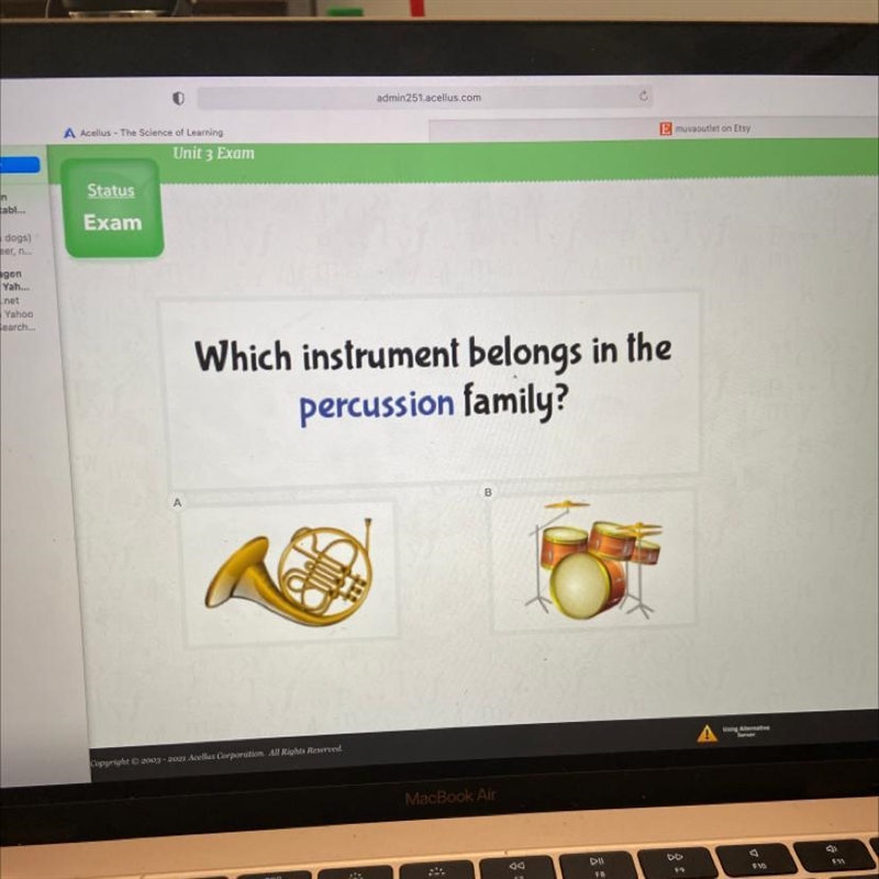 Which instrument belongs in the percussion family?-example-1