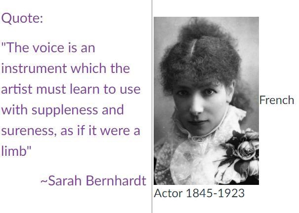 Read the quote by the French Actor Sarah Bernhardt. What metaphor does she use to-example-1