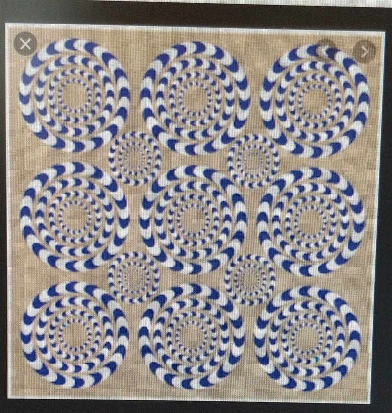 I need some good optical illusions for my school project. I need a lot of them-example-1