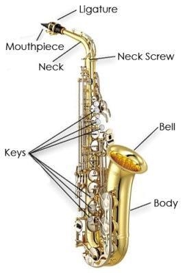 What part of the saxophone connects to the body? i need the answer, my thing is due-example-1