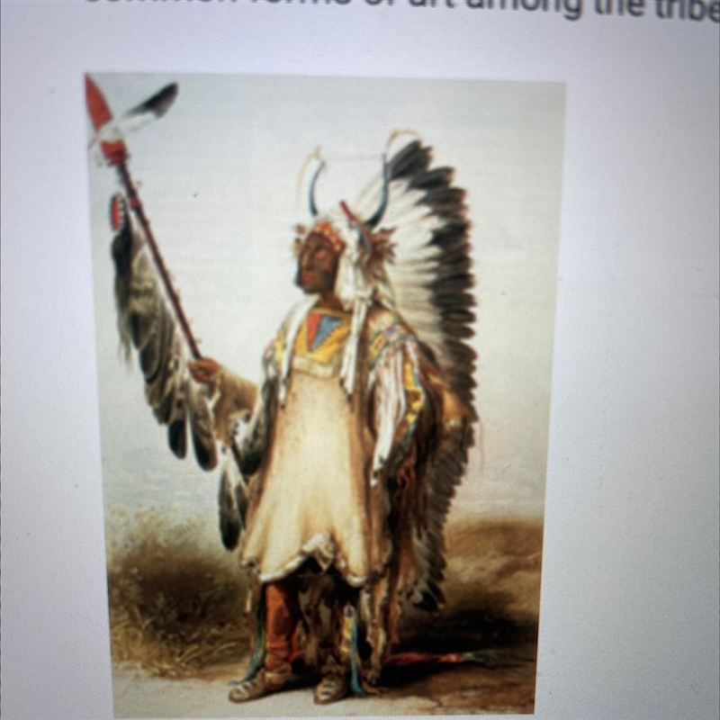 Look at this painting by a Swiss artist who painted Native American tribal leaders-example-1