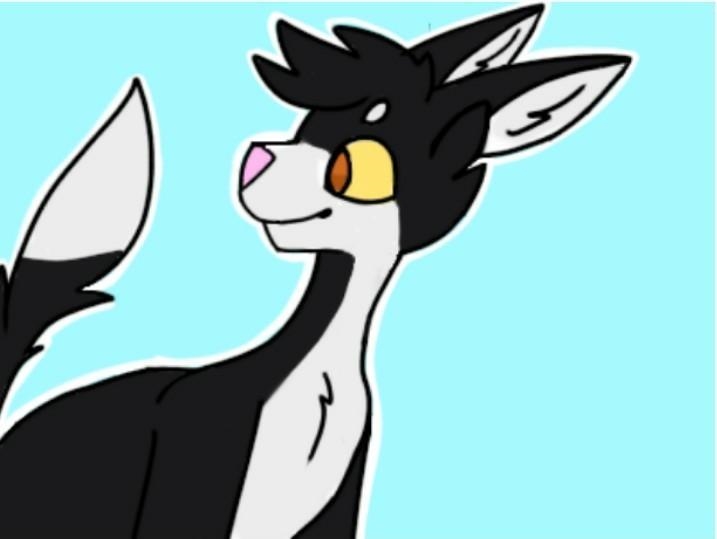 What do you guys think of this drawing I made of Talltail/Tallstar from Warrior cats-example-1