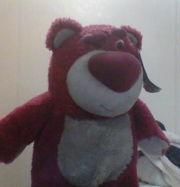 Mr.bear is watching u.-example-1