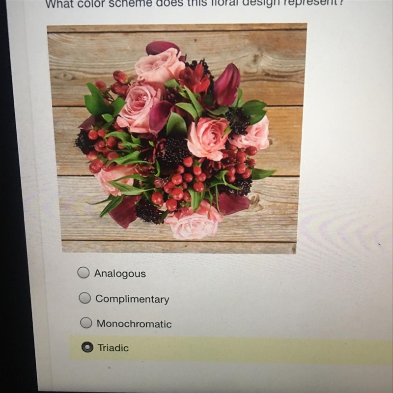 What color scheme does this floral design represent? Can y’all help !!!!-example-1