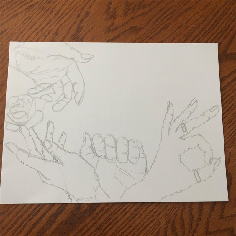 Can someone draw 3 more contour line hands? This is what I have so far I just need-example-1