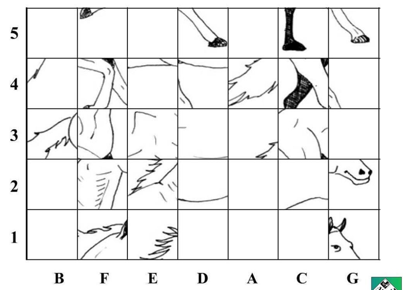 Does anybody know how to use a mystery grid sheet I know it is a horse but how do-example-1