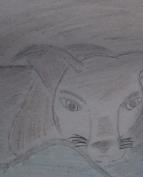 These where my first drawing i just found.-example-1