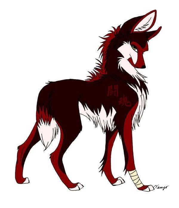 Rp Lily, 13, 11 in wolf years, tribrid (werewolf,vampire,witch), straight, on a full-example-1