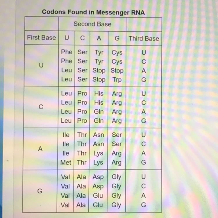 50 POINTS!!!!! Pls Help ! Use the following table to answer the question… Codons Found-example-1