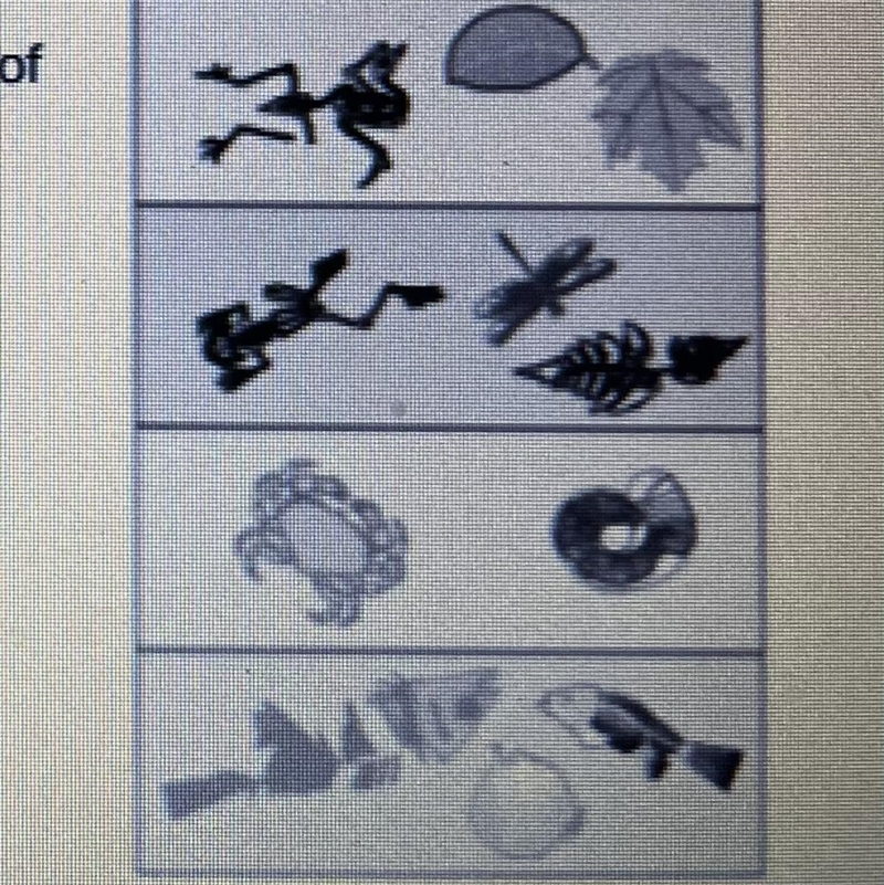 What can the presence of different types of fossils tell us about how this environment-example-1