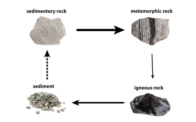 The diagram below shows part of the rock cycle lable the diagram a.heat and pressure-example-1