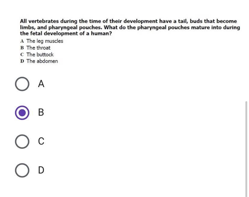 Help please ((: due today !! I clicked a random one-example-1