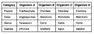 Which two organisms in the chart below are most similar in genetic composition? A-example-1