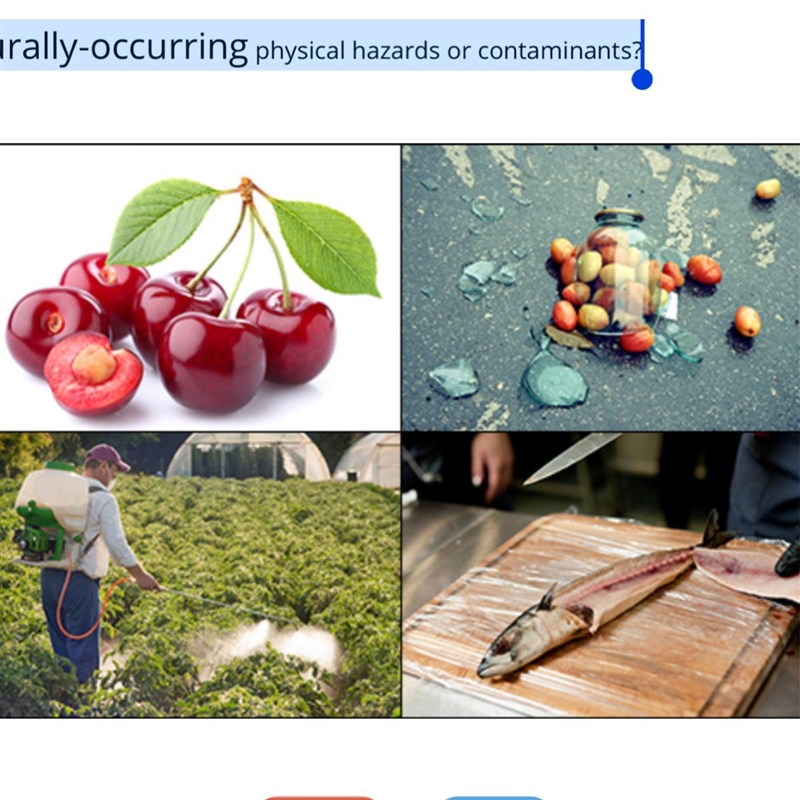 Which two images show naturally-occurring physical hazards or contaminants?-example-1