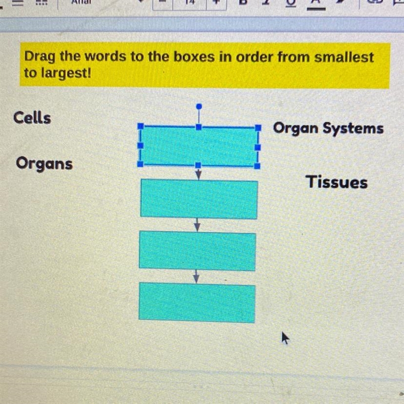 Drag the words to the boxes in order from smallest to largest!-example-1