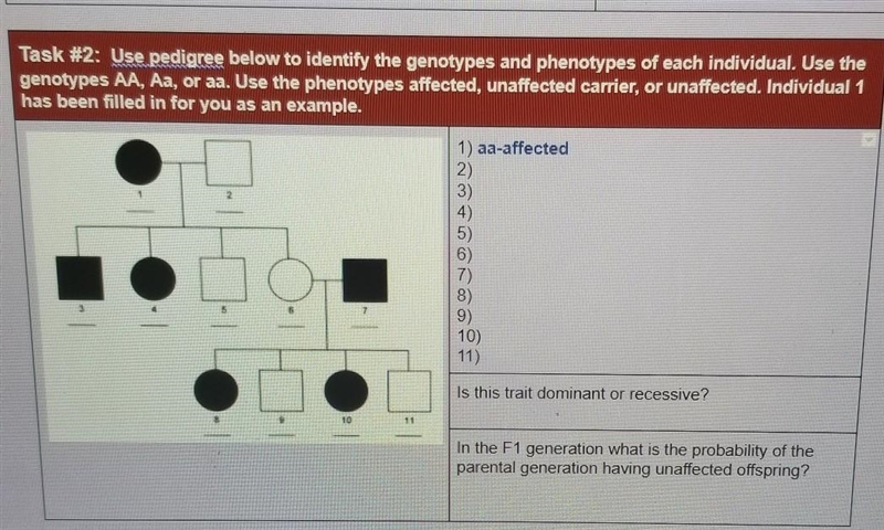 HELP ME PLEASE URGENT Use pedigree below to identify the genotypes and phenotypes-example-1