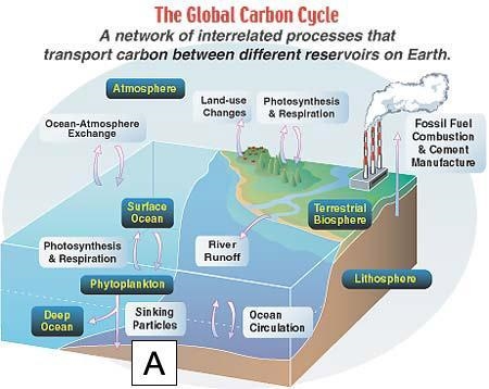 Given the following diagram, what product is produced at Location A? Limestone Oxygen-example-1