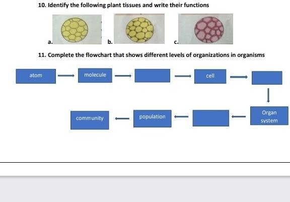 Please help me please find the answer ​-example-1