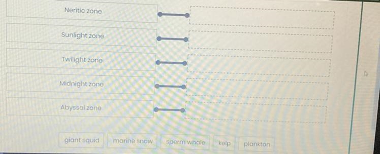 Drag and drop each organism to match it to the correct ocean zone where it can be-example-1