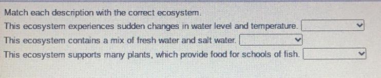 I need help with this please Answer choices are: Estuary Intertidal zone Neritic zone-example-1