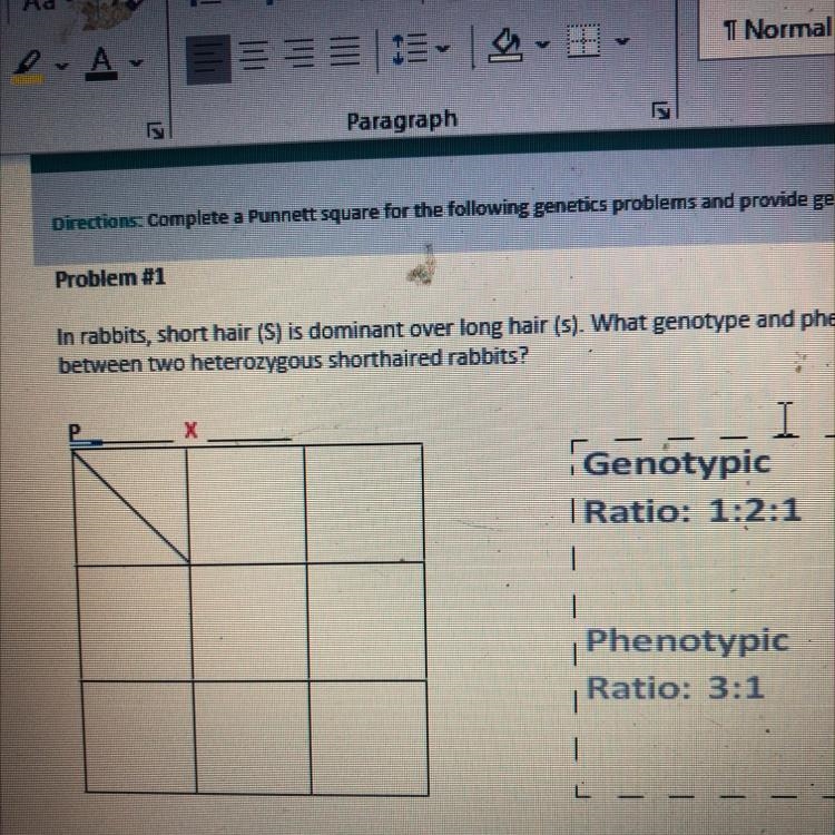 In rabbits, short hair (S) is dominant over long hair (s). What genotype and phenotype-example-1