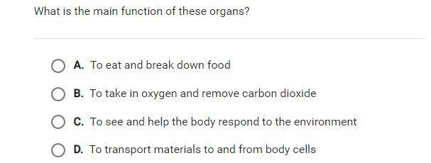 What is the main function of these organs?-example-2