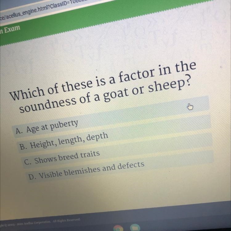 Which of these is a factor in the soundness of a goat or sheep? A. Age at puberty-example-1