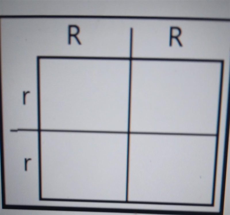 Pls help me What is the % phenotype for this cross if round is the dominant trait-example-1