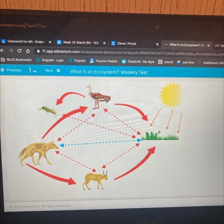 NEXE What Is an Ecosystem? Select the correct answer, Study the image, and then choose-example-1