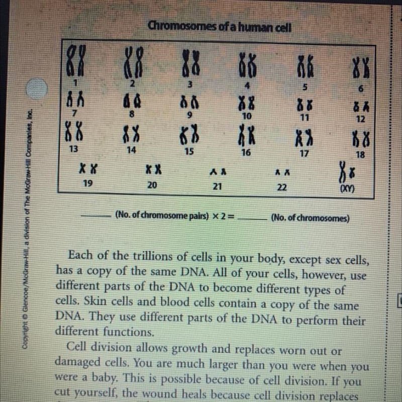 (No. of chromosome pairs) X 2= (No. of chromosomes) Please help this is science-example-1