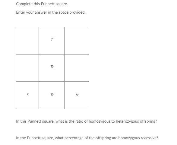 Complete the punnett square-example-1