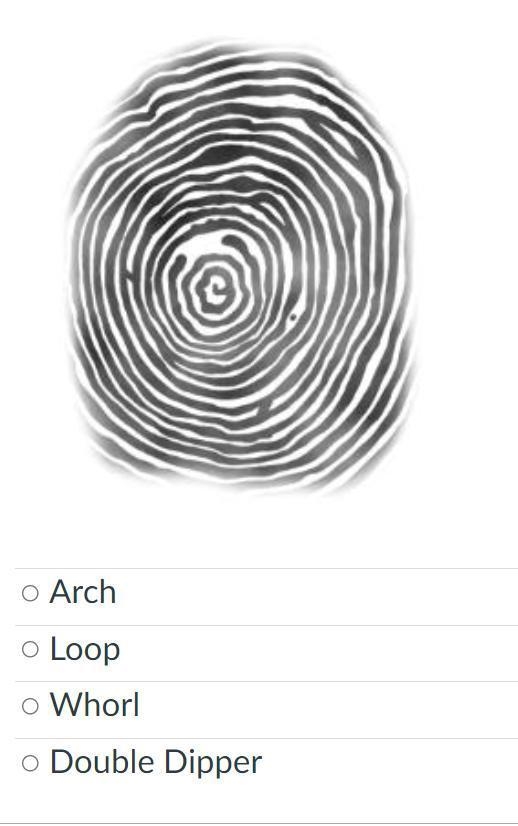 Which type of fingerprint is shown below? (attachment)-example-1