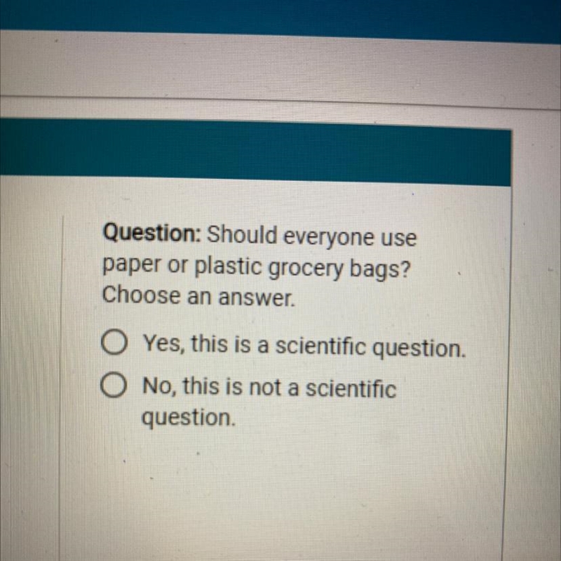 Question: Should everyone use paper or plastic grocery bags? Choose an answer. Yes-example-1