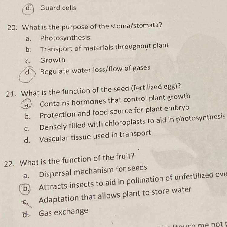 What is the function of the seed (fertilized egg)? Q#21 on pic-example-1