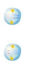 Which phase of cell division is shown? anaphase II telophase I telophase II prophase-example-1