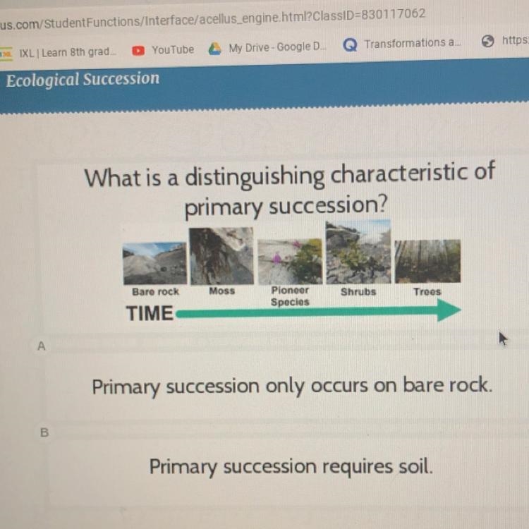 What is a distinguishing characteristic of primary succession? - primary succession-example-1