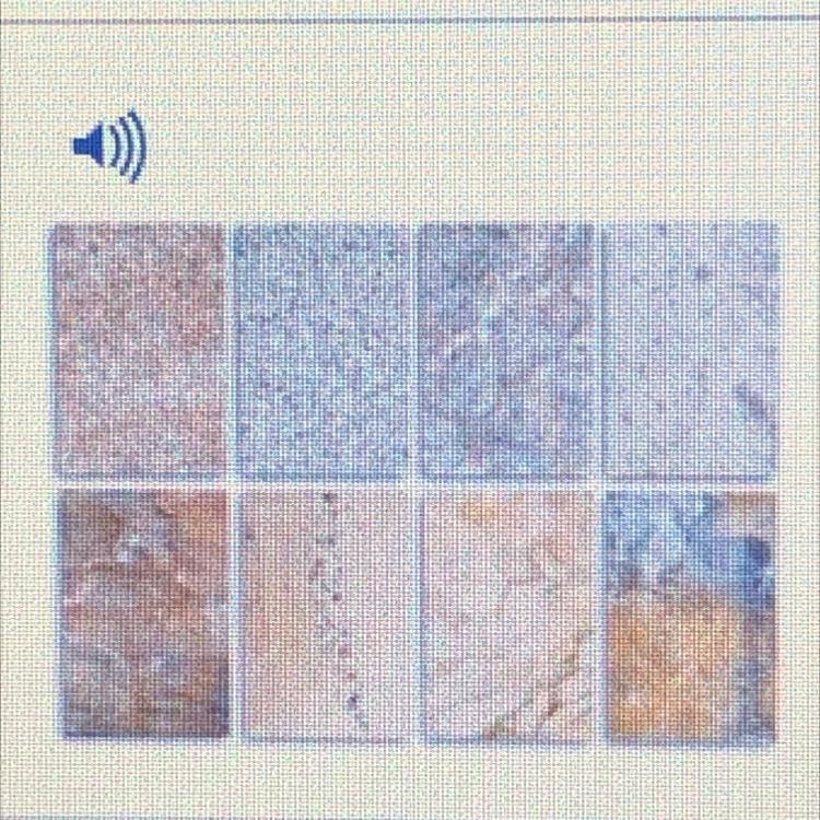 The three main constituent minerals of granite stones are feldspar, mica, and quartz-example-1