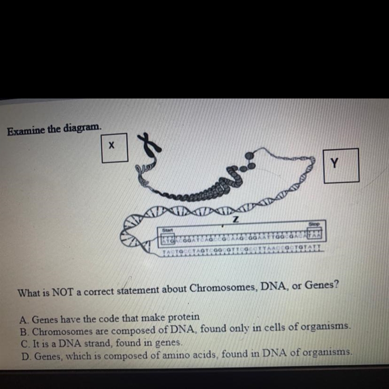 What is Not a correct statement about chromosomes,Dna,or genes Image below-example-1