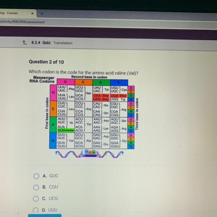 Which codon is the code for the amino acid valine (Val)?-example-1