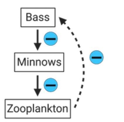 Based on the information given above, which of the following models best represents-example-2