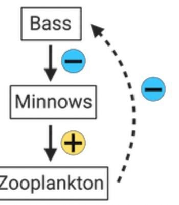 Based on the information given above, which of the following models best represents-example-3