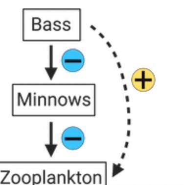 Based on the information given above, which of the following models best represents-example-4