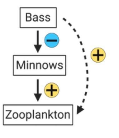 Based on the information given above, which of the following models best represents-example-5