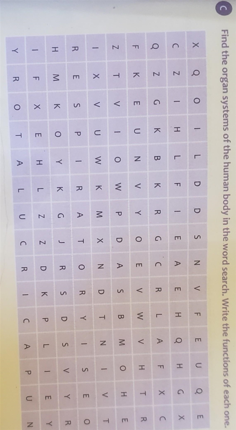 Find the organ system of the human body in the word search. to write the function-example-1