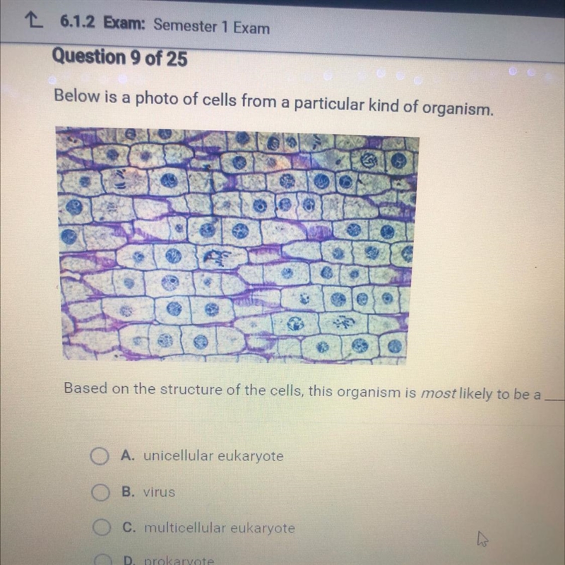 Below is a photo of cells from a particular kind of organism. Based on the structure-example-1