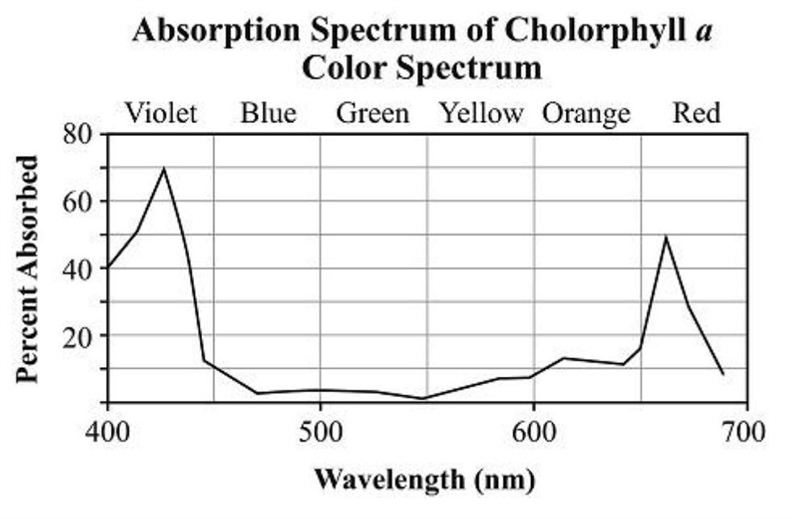 The graph below shows which wavelengths, in nanometers (nm), and corresponding colors-example-1