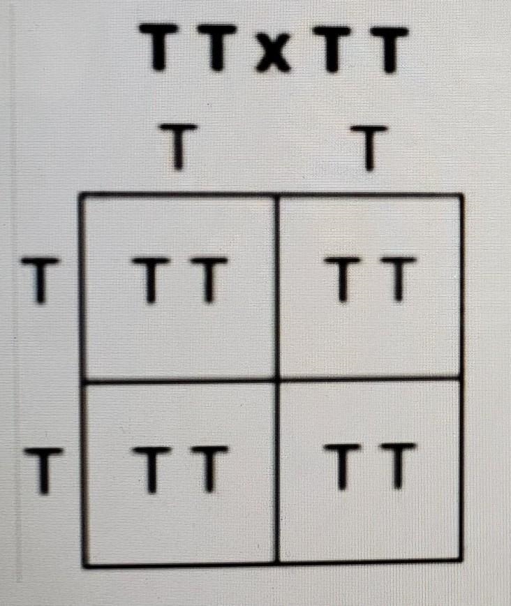 See the Punnett square above. What are the chances these parents will have offspring-example-1