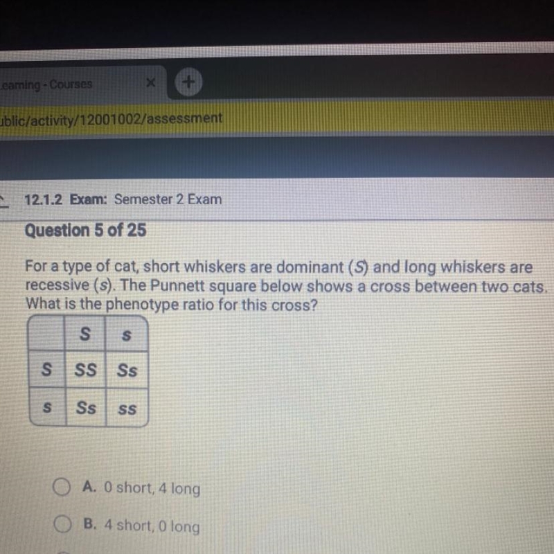 Answer Choices; O A. O short, 4 long O B. 4 short, O long C. 3 short, 1 long D. 2 short-example-1